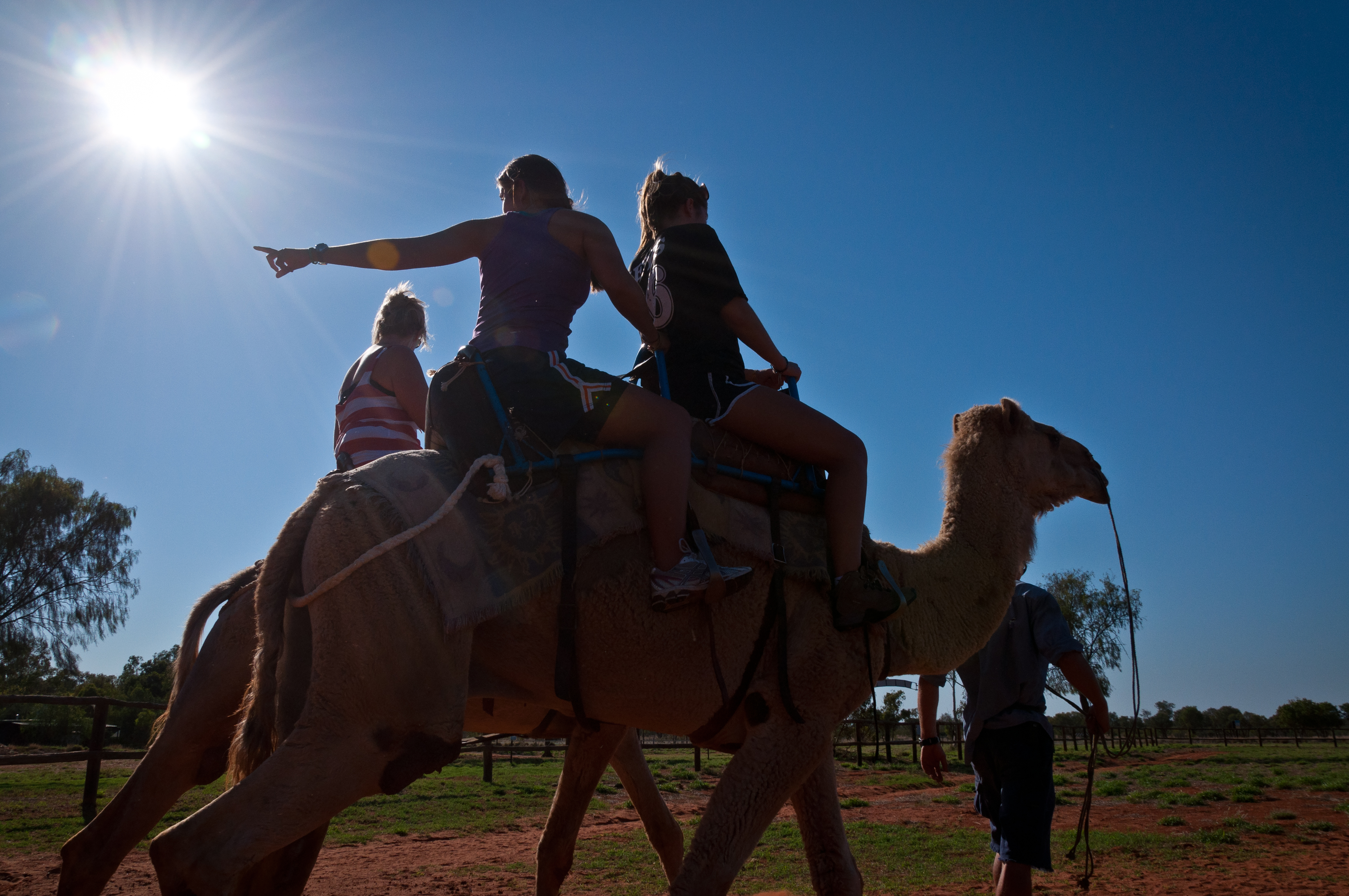 Optional Camel ride at the Camel Farm