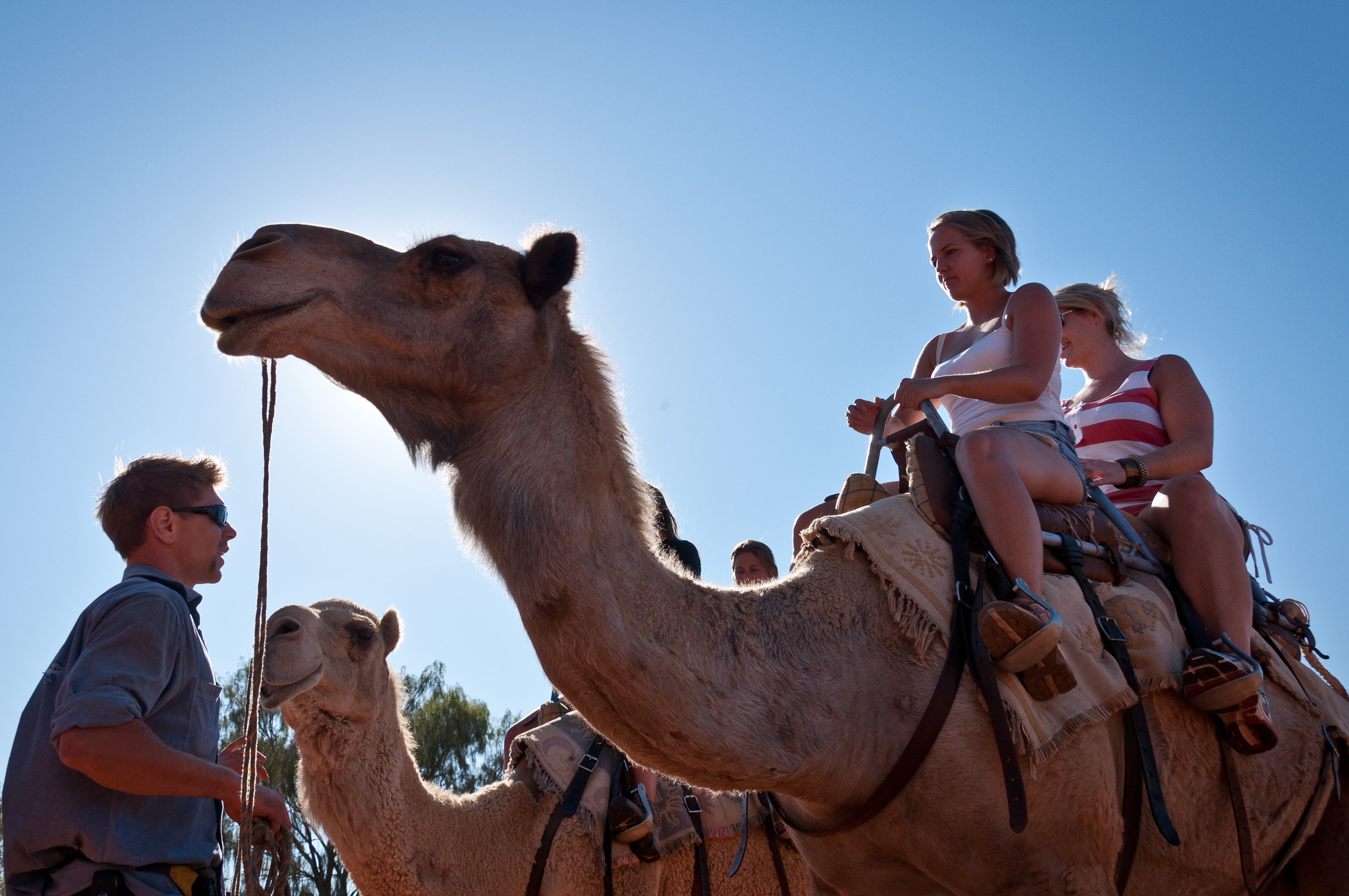 Optional Camel Ride